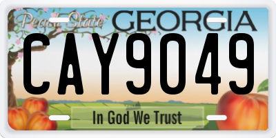 GA license plate CAY9049