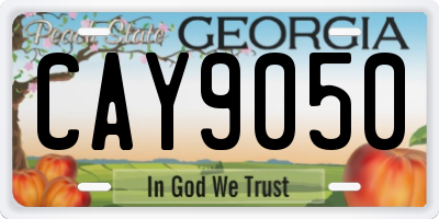 GA license plate CAY9050