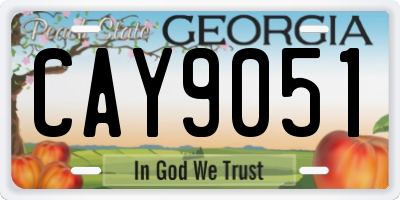 GA license plate CAY9051