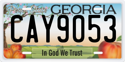 GA license plate CAY9053
