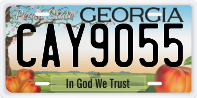 GA license plate CAY9055
