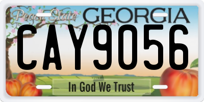 GA license plate CAY9056