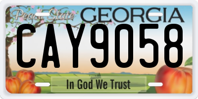 GA license plate CAY9058