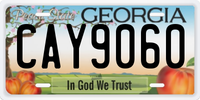GA license plate CAY9060