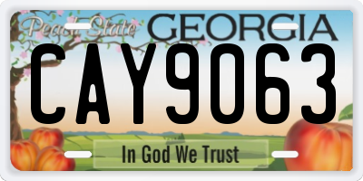 GA license plate CAY9063