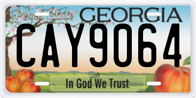 GA license plate CAY9064