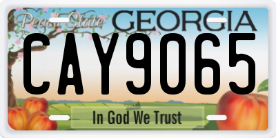 GA license plate CAY9065
