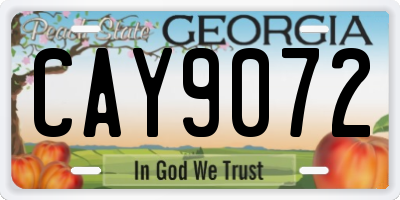 GA license plate CAY9072