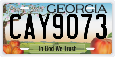 GA license plate CAY9073