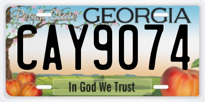 GA license plate CAY9074