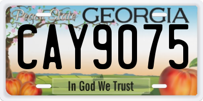GA license plate CAY9075