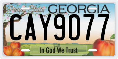 GA license plate CAY9077
