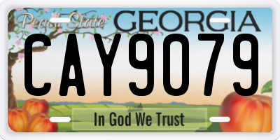GA license plate CAY9079