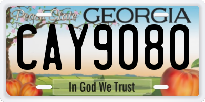 GA license plate CAY9080