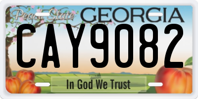 GA license plate CAY9082