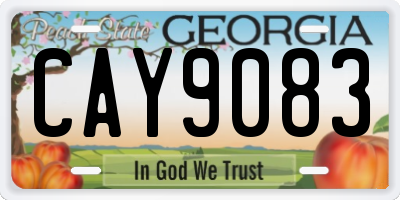 GA license plate CAY9083