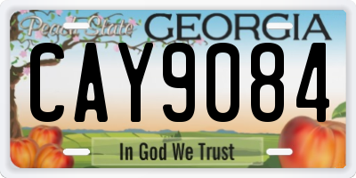 GA license plate CAY9084