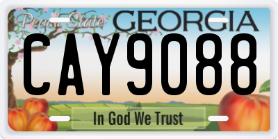 GA license plate CAY9088
