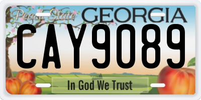 GA license plate CAY9089