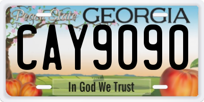 GA license plate CAY9090