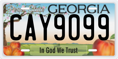 GA license plate CAY9099