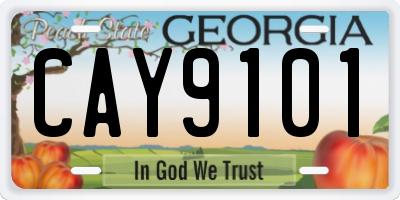 GA license plate CAY9101