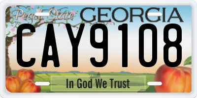 GA license plate CAY9108