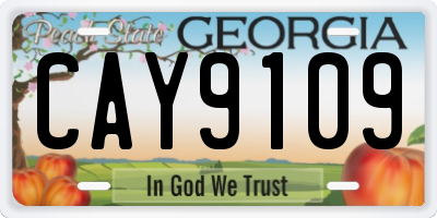 GA license plate CAY9109