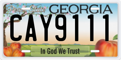 GA license plate CAY9111