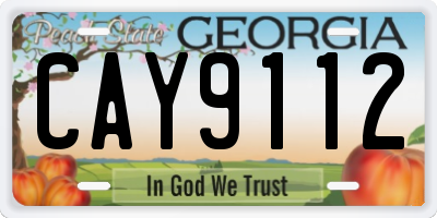 GA license plate CAY9112