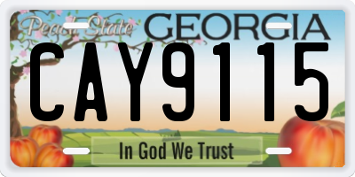 GA license plate CAY9115