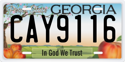 GA license plate CAY9116