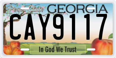 GA license plate CAY9117