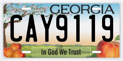 GA license plate CAY9119