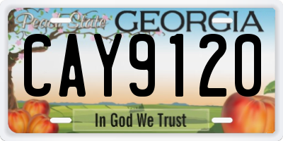 GA license plate CAY9120