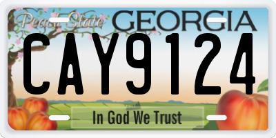 GA license plate CAY9124