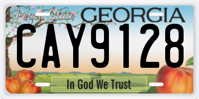 GA license plate CAY9128