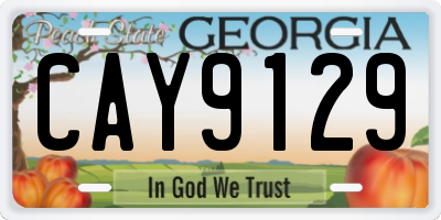 GA license plate CAY9129