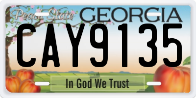 GA license plate CAY9135