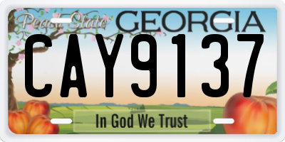 GA license plate CAY9137
