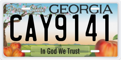 GA license plate CAY9141
