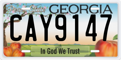 GA license plate CAY9147