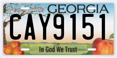 GA license plate CAY9151