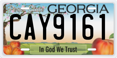 GA license plate CAY9161