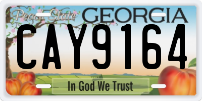 GA license plate CAY9164