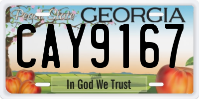 GA license plate CAY9167