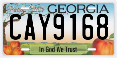 GA license plate CAY9168