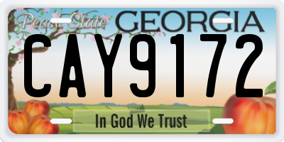 GA license plate CAY9172
