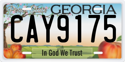 GA license plate CAY9175