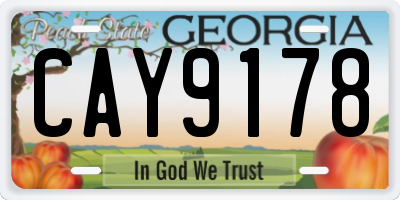 GA license plate CAY9178